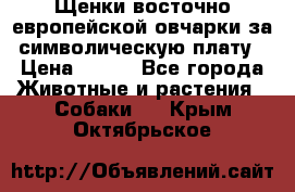 Щенки восточно европейской овчарки за символическую плату › Цена ­ 250 - Все города Животные и растения » Собаки   . Крым,Октябрьское